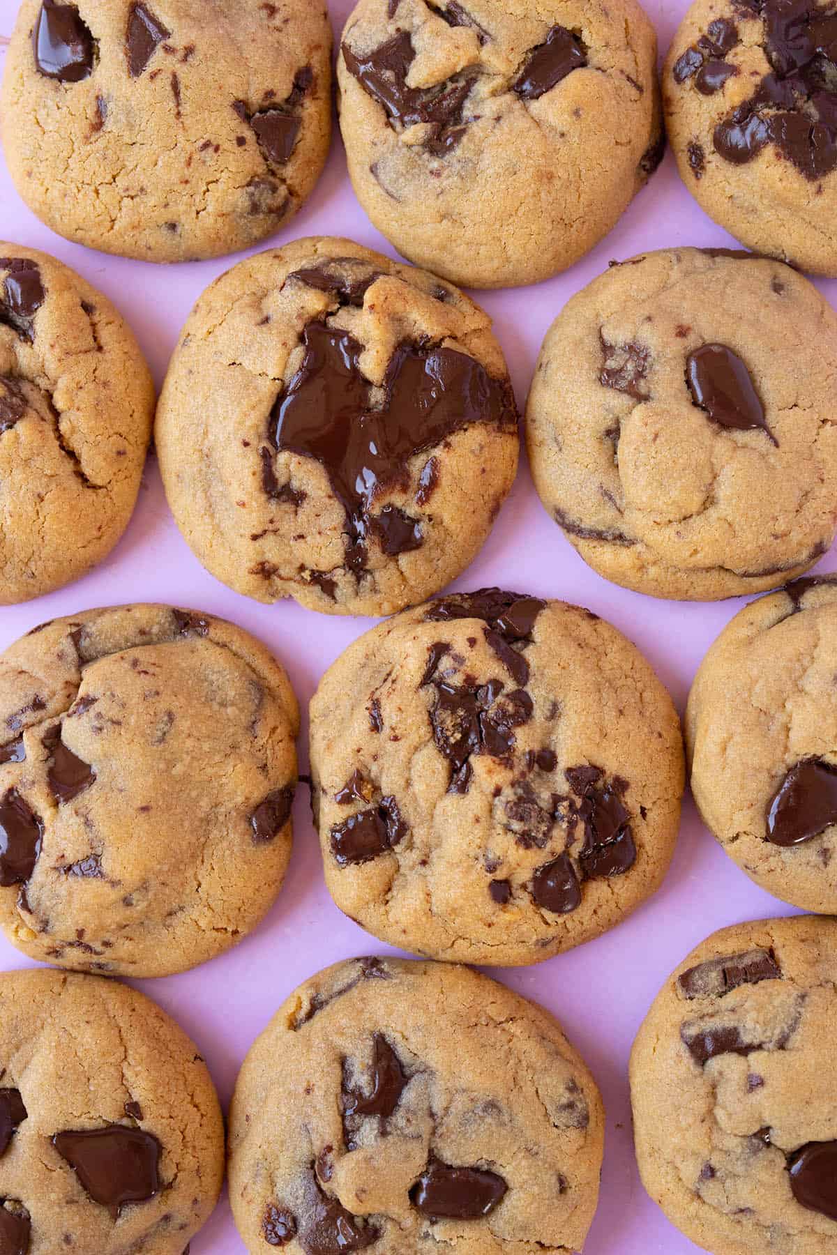 Top view of beautiful Peanut Butter Chocolate Chip Cookies on a purple background.