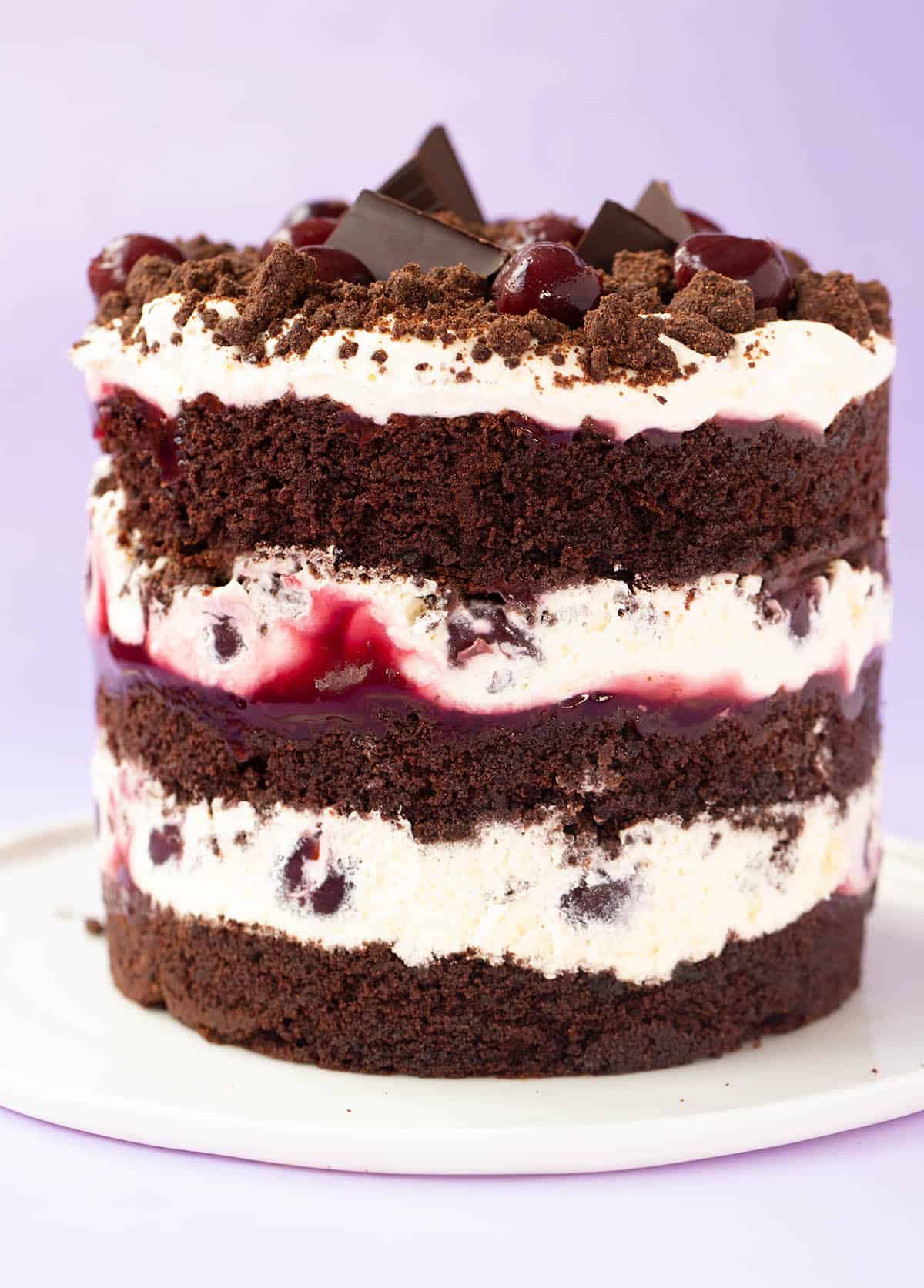 A beautiful layered Chocolate Cherry Cake on a purple background.
