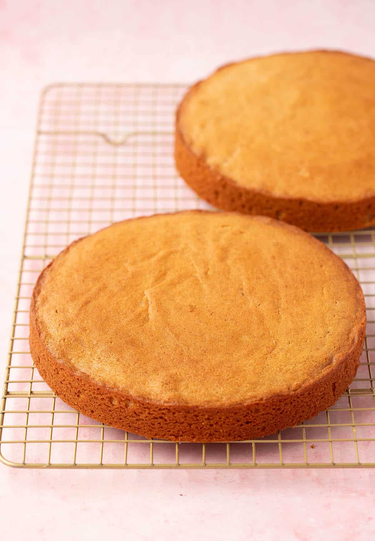 Fresh out of the oven Honey Cake sponges sitting on a gold cooling rack. 