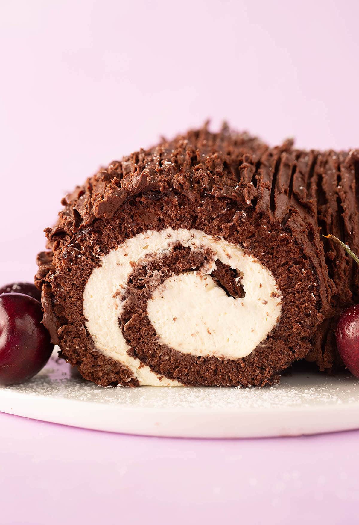 Close up of a beautiful swirled Chocolate Cake Roll. 