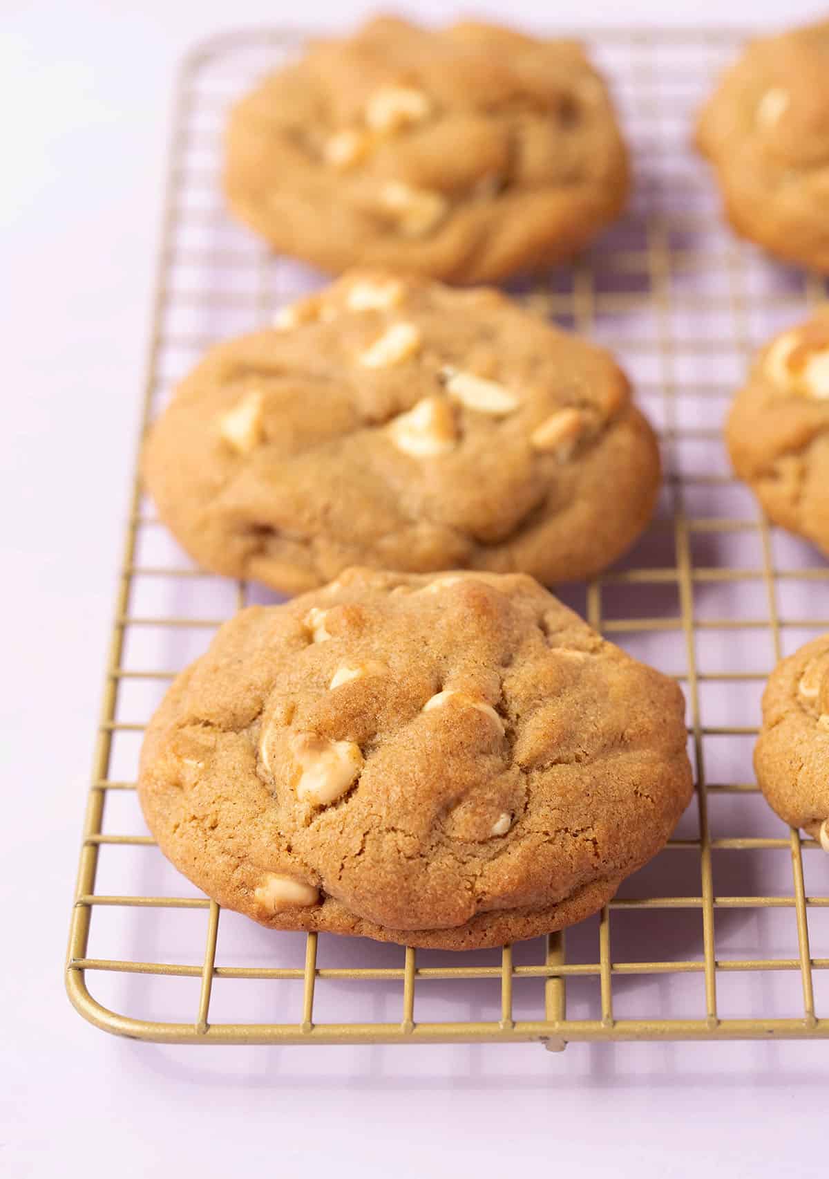 Homemade gingerbread NYC Cookies sitting on a gold wire rack. 