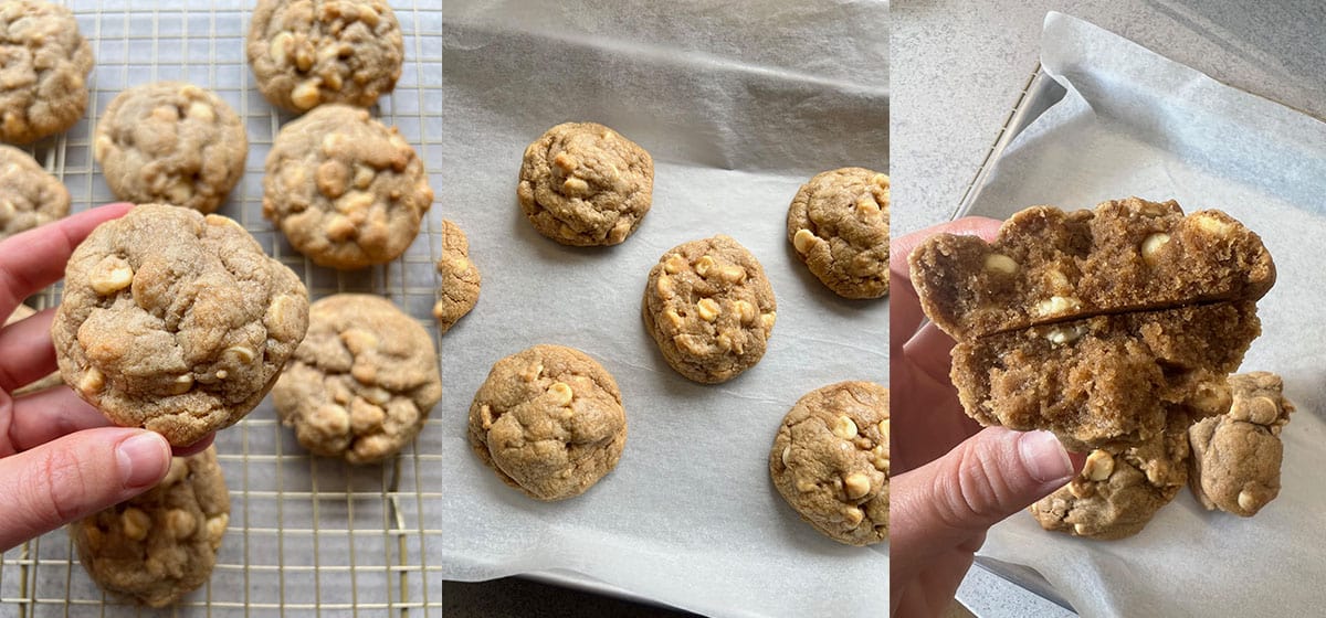 Different versions of gingerbread cookies during recipe testing process. 