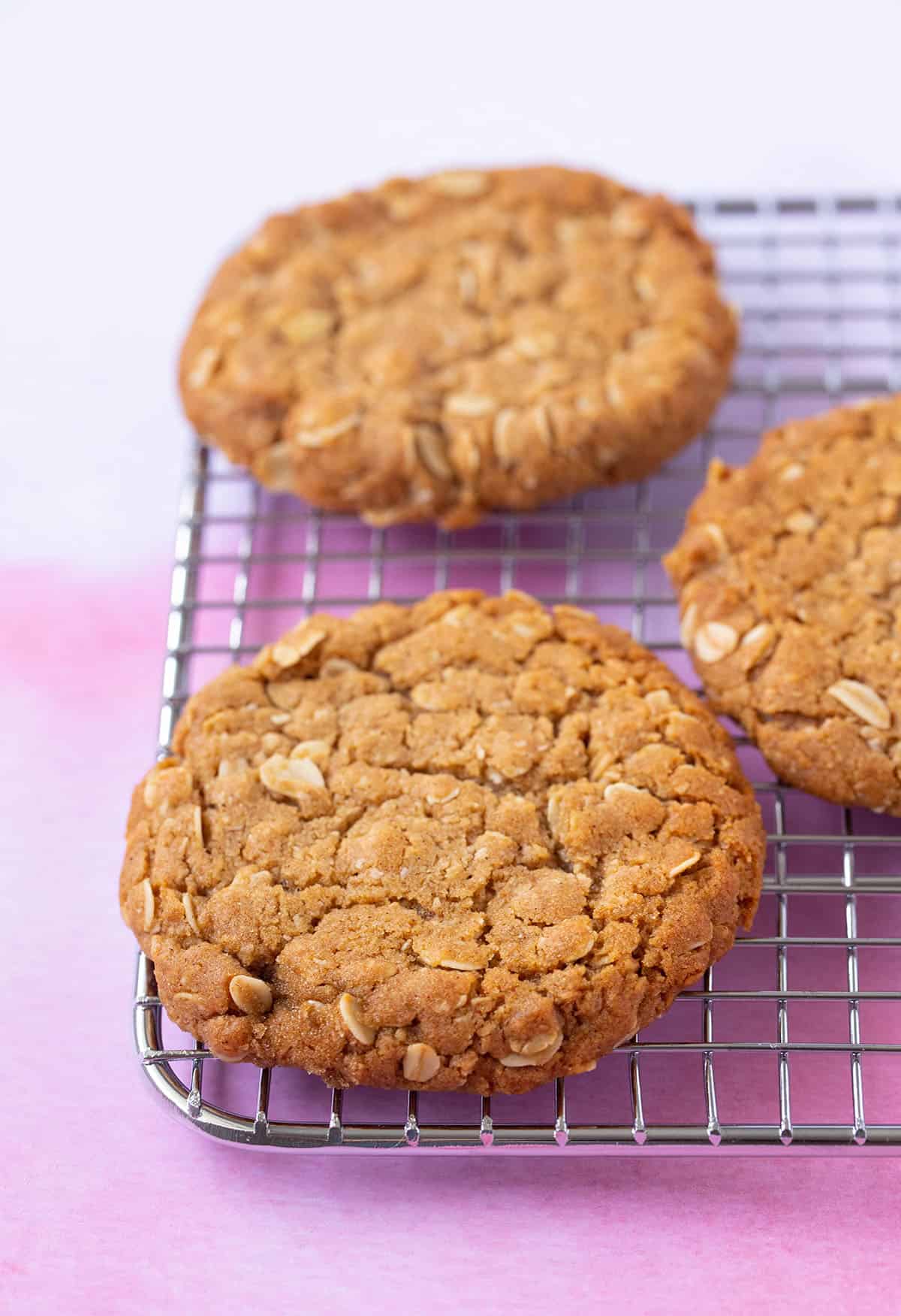 Freshly made Anzac Biscuits sitting on a wire cooling rack. 