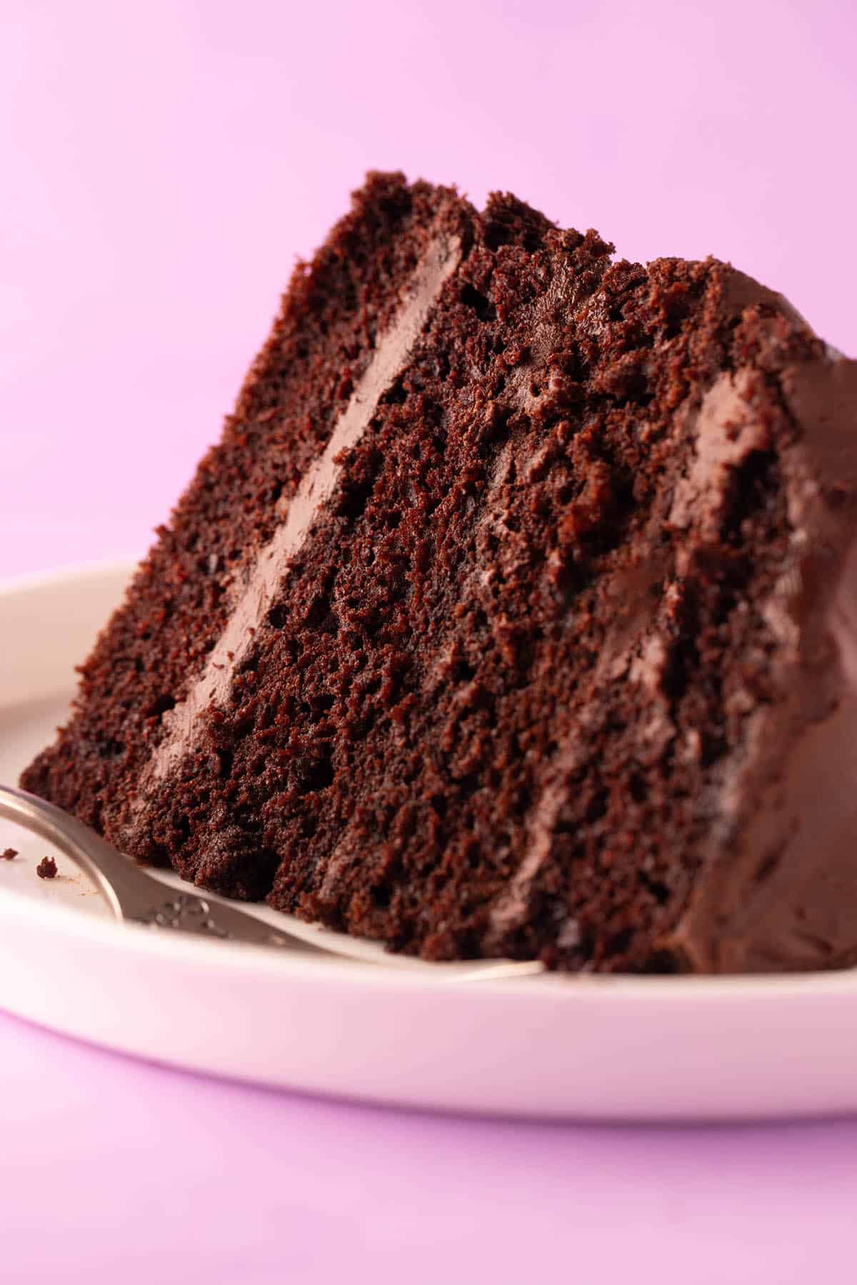 A big slice of chocolate cake on a purple backdrop.
