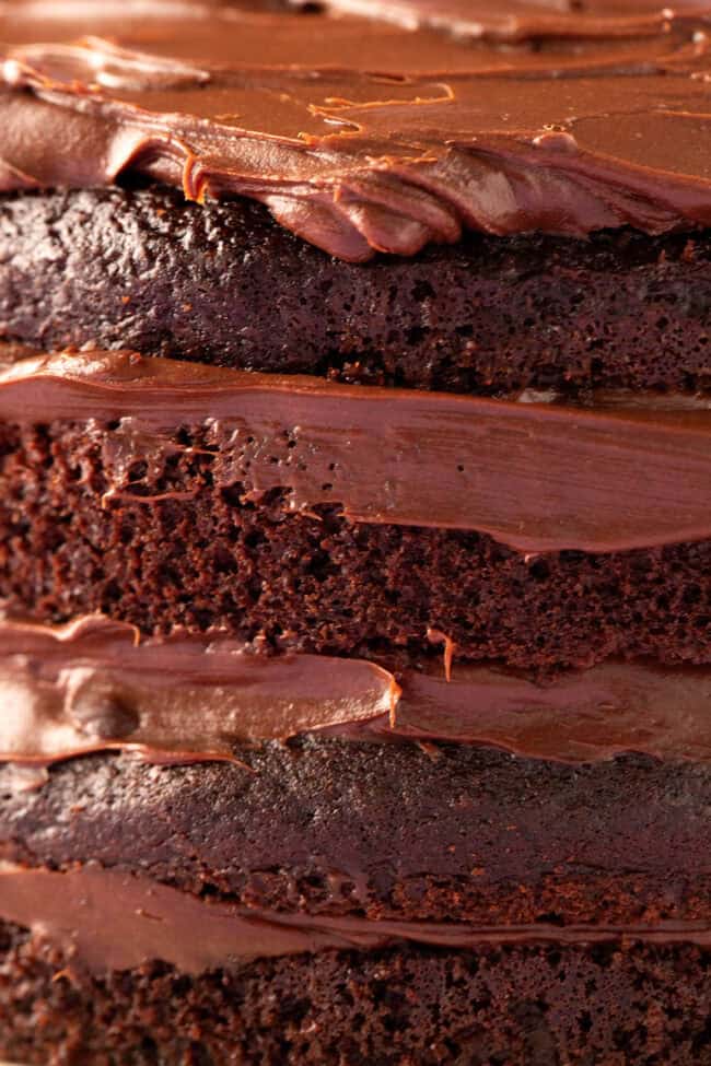 Close up of a beautiful layer chocolate cake