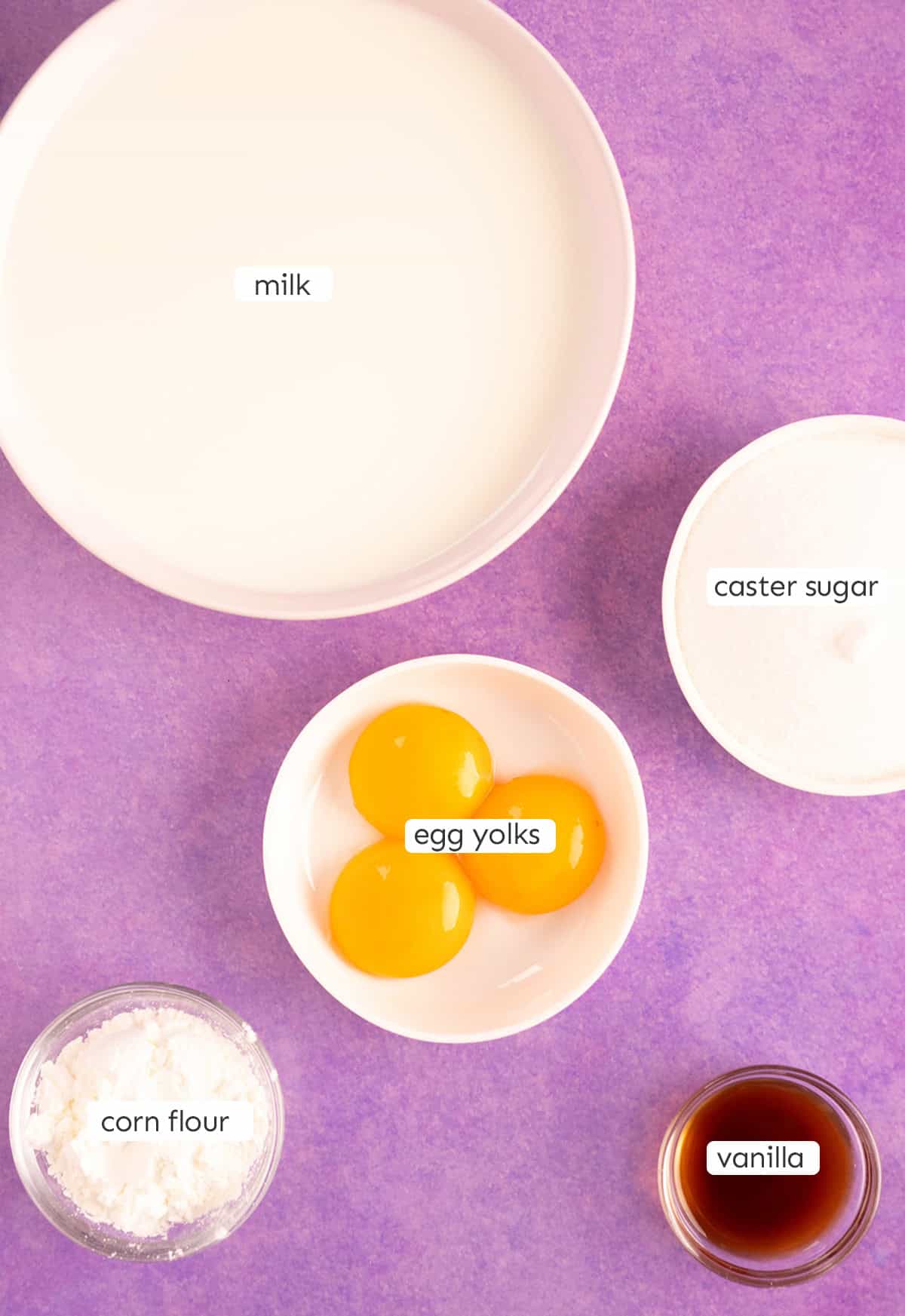 Top view of all the ingredients needed to make custard from scratch.