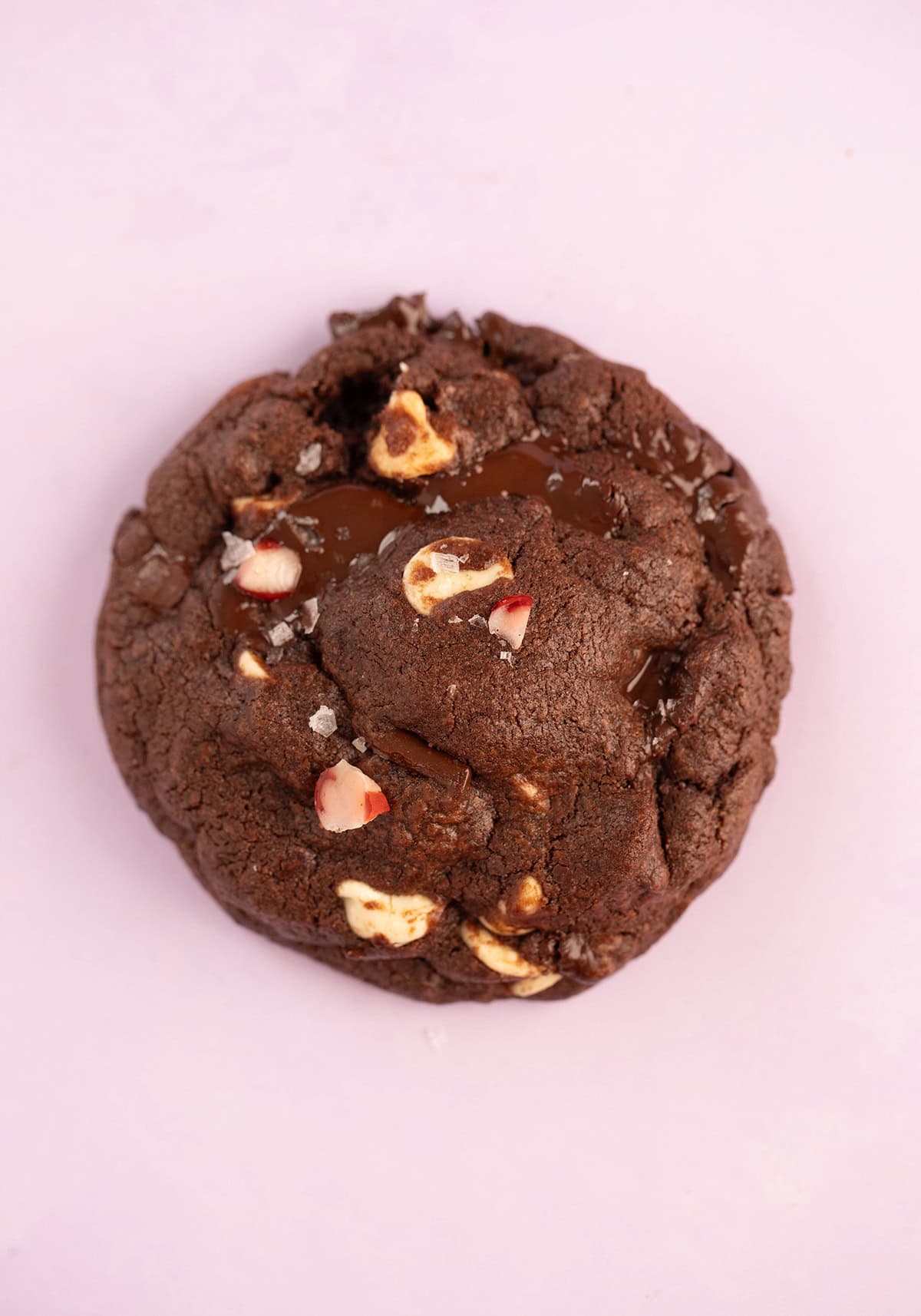 Close up of a beautiful peppermint chocolate cookie decorated with candy canes.