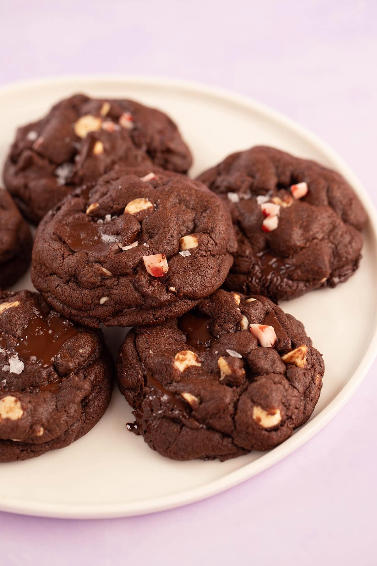 A plate of homemade NYC chocolate peppermint cookies.