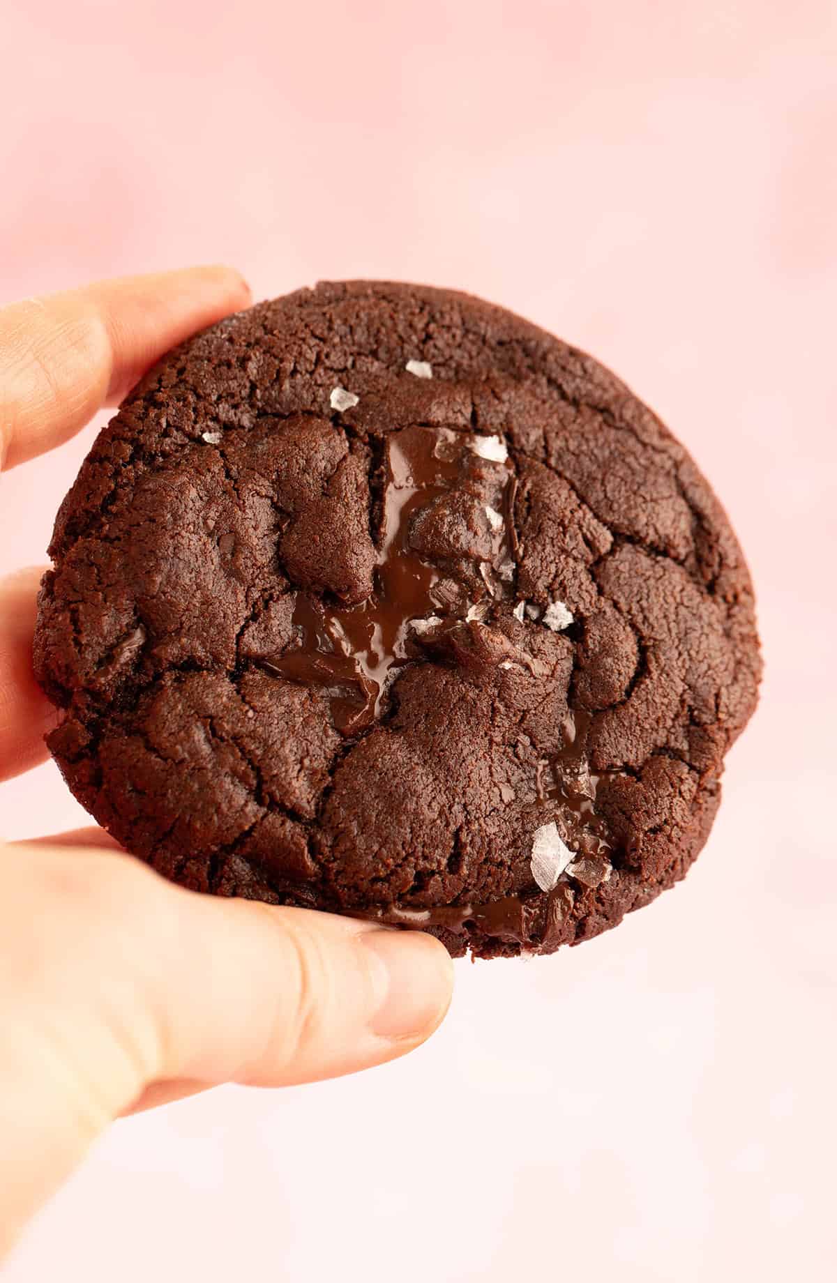 A hand holding a beautiful homemade chocolate cookie.