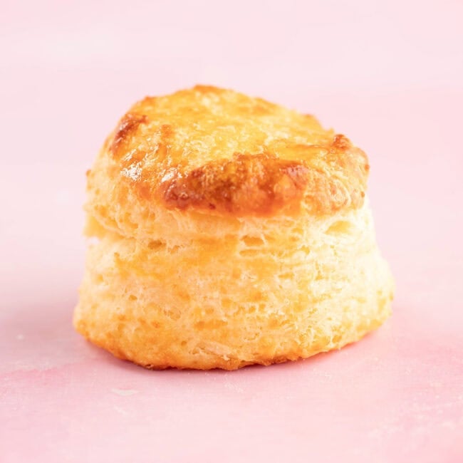A lovely cheese scone on a pink background.